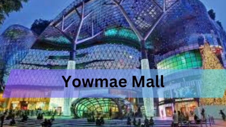 Yowmae Mall-Your Ultimate Shopping Destination