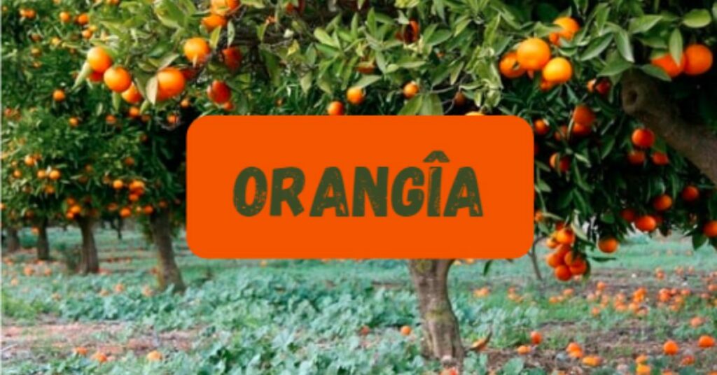 A Brief History of Orangîa